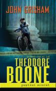 Theodore Boone: Pustiul avocat - John Grisham