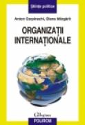 Organizatii internationale - Anton Carpinschi, Diana Margarit