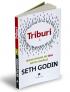 Triburi - Seth Godin