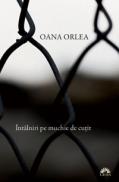 INTALNIRI PE MUCHIE DE CUTIT - Oana Orlea