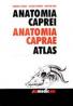 Anatomia Caprei - Atlas - PREDOI Gabriel, CORNILA Nicolae. BELU Cristian
