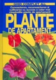 Plante De Apartament - Maria Teresa Della Beffa