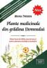 Plante medicinale din gradina Domnului - Maria Treben