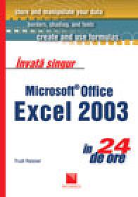 Invata singur Microsoft Office Excel in 24 de ore - Trudi Reisner