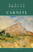 Carnete - Marcel Proust