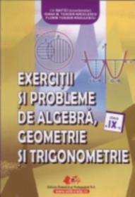 Exercitii si probleme de algebra, geometrie si trigonometrie cls. a IX-a - Maftei (coordonator) I.V. , Toader-Radulescu Ioana M. , Toader-Radulescu Florin