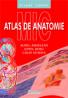 Mic atlas de anatomie  - Aurel Ardelean, Ionel Rosu, Calin Istrate