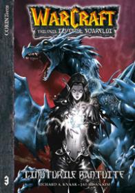Warcraft - Tinuturile bantuite  - Richard A. Knaak, Jae-Hwan Kim