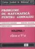 Probleme de matematica pentru gimnaziu - vol.I (clasa a V-a) - Constantin Basarab, Marlena Basarab