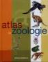 Atlas de zoologie - Jose Tola, Eva Infiesta