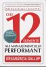Cele 12 Elemente ale Managementului Performant - Rodd Wagner & James K. Harter, Ph.d