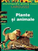Plante si animale -  Larousse