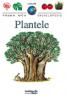 Plantele -  Larousse