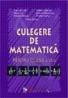 Culegere De Matematica. Clasa A Vi-a  - Petre Simion si Colectiv