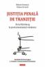 Justitia penala de tranzitie. De la Nurnberg la postcomunismul romanesc - Raluca Grosescu, Raluca Ursachi