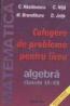 Culegere de probleme pentru liceu algebra clasele IX-XII - C. Nastase, C Nita, M Brandiburu, D. Joita