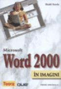 Microsoft Word 2000 in imagini - Heidi Steele