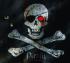 Piratii - John Matthews