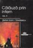 Calauza Prin Infern, Vol. Ii - Davidescu Stefan Ioan I.