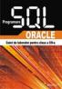 Programare SQL-Oracle caiet de laborator - Silca Ilici