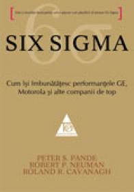 Six Sigma - Peter S. Pande, Robert P. Neuman, Roland R. Cavanagh