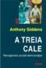 A treia cale - Anthony Giddens