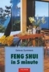 Feng shui in 5 minute - Selena Summers