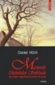 Misterele Castelului Solitude sau despre singuratate la vreme de iarna - Daniel Vighi
